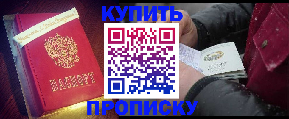 прописка гарантия в Великом Новгороде